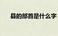 县的部首是什么字（县的部首是什么）