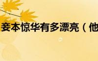 妾本惊华有多漂亮（他放弃了十年的精心谋划