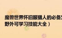 魔兽世界怀旧服猎人的必备宠物（魔兽世界怀旧服猎人宠物野外可学习技能大全）