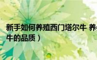 新手如何养殖西门塔尔牛 养牛东哥简单介绍各地区西门塔尔牛的品质）