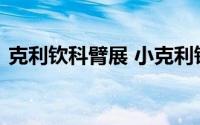 克利钦科臂展 小克利钦科有意躲避强者挑战