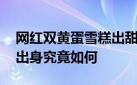 网红双黄蛋雪糕出甜筒了 网红双黄蛋雪糕的出身究竟如何