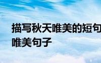 描写秋天唯美的短句子 今日摘抄有关秋天的唯美句子