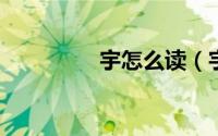 宇怎么读（宇的读音解释