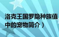 洛克王国罗隐种族值（罗隐-游戏《洛克王国》中的宠物简介）