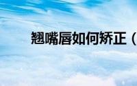 翘嘴唇如何矫正（翘丽美唇器简介）