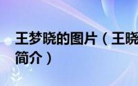 王梦晓的图片（王晓梦-中国内地女平面模特简介）