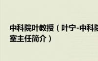 中科院叶教授（叶宁-中科院光电材料化学与物理重点实验室主任简介）