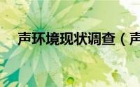 声环境现状调查（声环境现状评价简介）