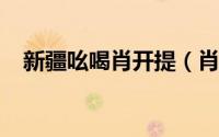 新疆吆喝肖开提（肖凯提-新疆歌手简介）