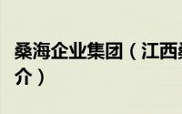 桑海企业集团（江西桑海集团有限责任公司简介）
