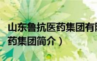 山东鲁抗医药集团有限公司百科（山东鲁抗医药集团简介）