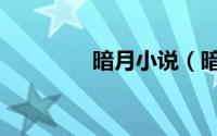 暗月小说（暗月升起简介）