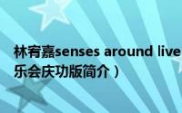 林宥嘉senses around live tour（2010林宥嘉感官世界音乐会庆功版简介）