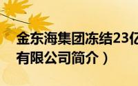 金东海集团冻结23亿（青岛金东海办公家具有限公司简介）