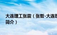 大连理工张震（张哲-大连理工大学教授、桥梁研究所所长简介）