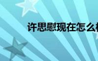 许思慰现在怎么样（许思琼简介）