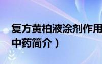 复方黄柏液涂剂作用机制（复方黄柏液涂剂-中药简介）
