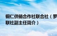 铜仁供销合作社联合社（罗振林-贵州省铜仁市供销合作社联社副主任简介）