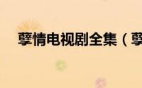 孽情电视剧全集（孽情：湿身为妃简介）