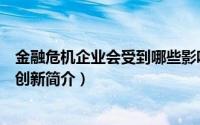 金融危机企业会受到哪些影响（金融危机下的中小企业管理创新简介）