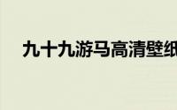 九十九游马高清壁纸（九十九游马简介）