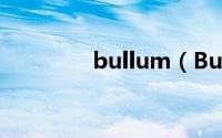 bullum（BumBum简介）