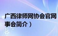 广西律师网协会官网（广西律师协会第二届理事会简介）