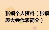 张镇个人资料（张镇中-旅大市第一届人民代表大会代表简介）