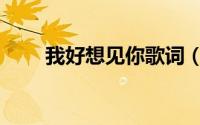 我好想见你歌词（我好想见你简介）