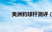 美洲豹球杆测评（美洲豹球杆简介）