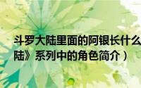 斗罗大陆里面的阿银长什么样子（阿银-玄幻小说《斗罗大陆》系列中的角色简介）