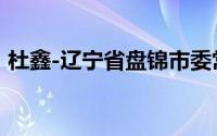 杜鑫-辽宁省盘锦市委常委、常务副市长简介