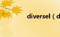diversel（diverse简介）