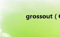 grossout（Grosso简介）