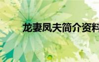 龙妻凤夫简介资料（龙妻凤夫简介）