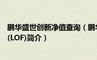 鹏华盛世创新净值查询（鹏华盛世创新混合型证券投资基金(LOF)简介）