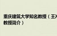 重庆建筑大学知名教授（王冲-重庆建筑大学建筑材料专业副教授简介）