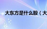 大东方是什么股（大东方[600327]简介）