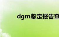 dgm鉴定报告查询（DGM简介）