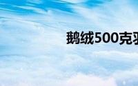 鹅绒500克羽绒服(鹅绒)