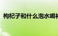 枸杞子和什么泡水喝补肾壮阳效果最好图片