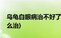 乌龟白眼病治不好了(乌龟白眼病到了后期怎么治)