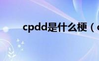 cpdd是什么梗（cpdd是什么意思）