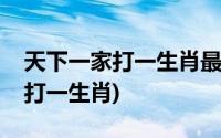 天下一家打一生肖最佳答案是什么(天下一家打一生肖)