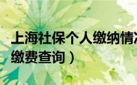 上海社保个人缴纳情况查询（上海市个人社保缴费查询）