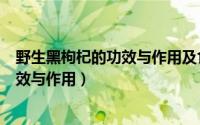 野生黑枸杞的功效与作用及食用方法禁忌（野生黑枸杞的功效与作用）