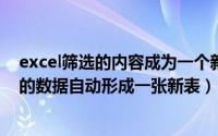 excel筛选的内容成为一个新表（EXCEL表格怎么筛选出来的数据自动形成一张新表）