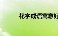 花字成语寓意好的（花字成语）