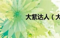 大紫达人（大紫大人插件）